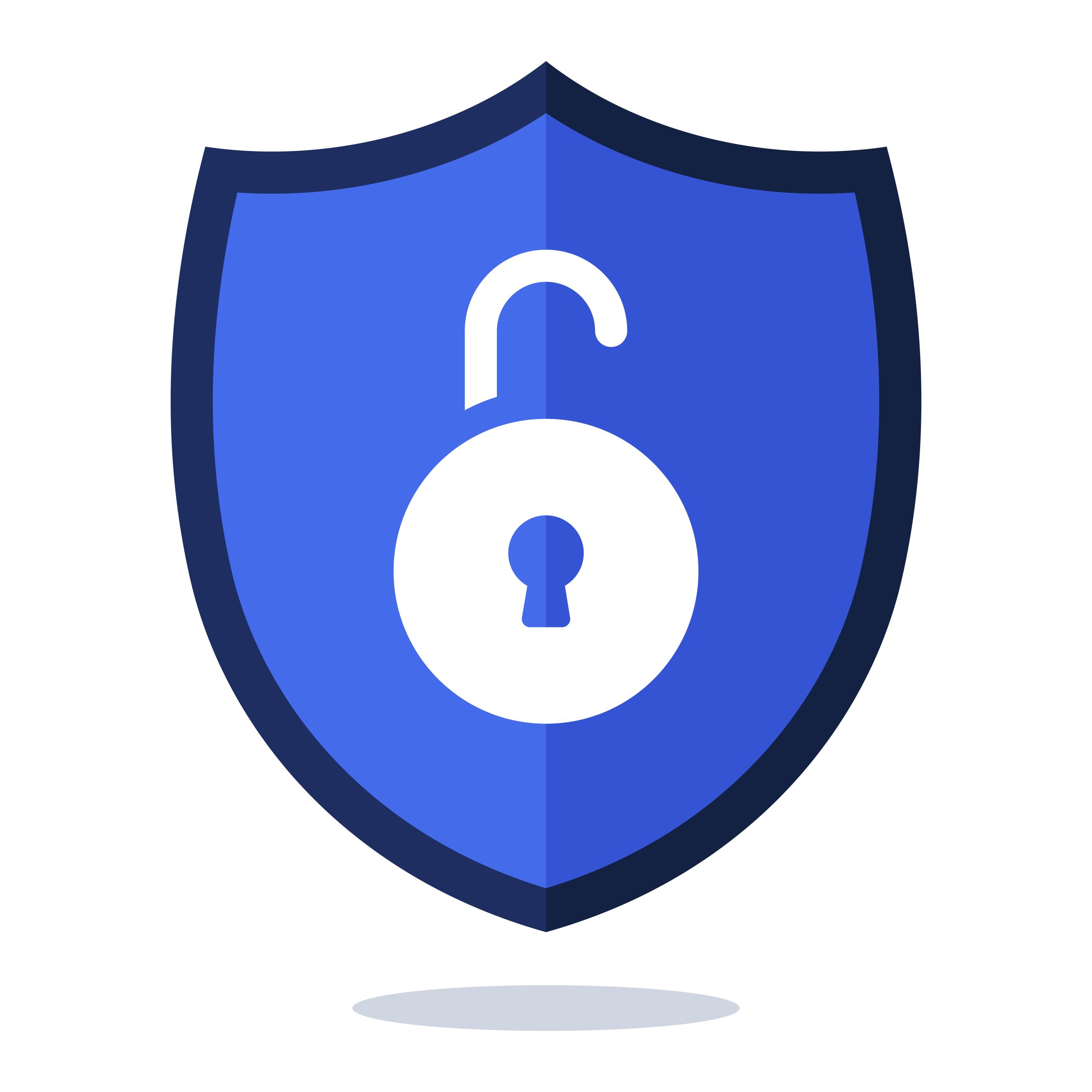 Cyber Security Shield Flat Style